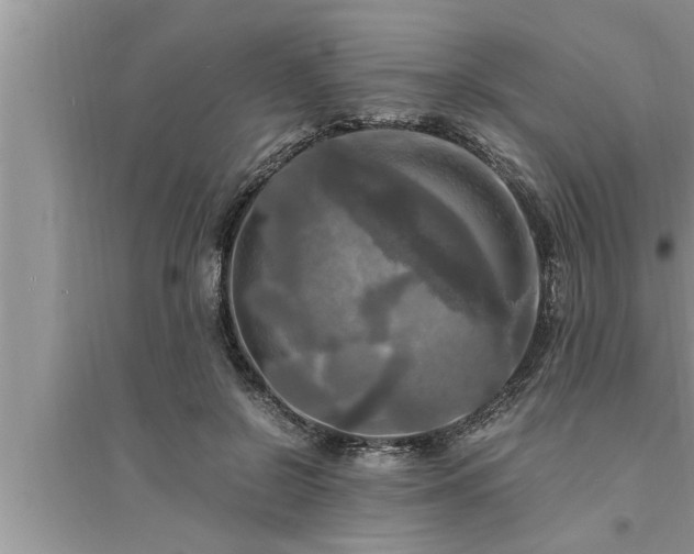 X0000095520550200712211305