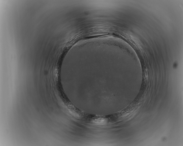 X0000095520551200712211305