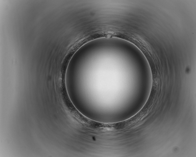 X0000095520552200712211305