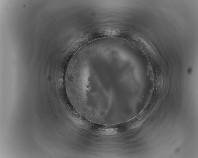 X0000095520553200712211305