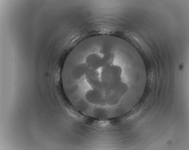 X0000095520554200712211305