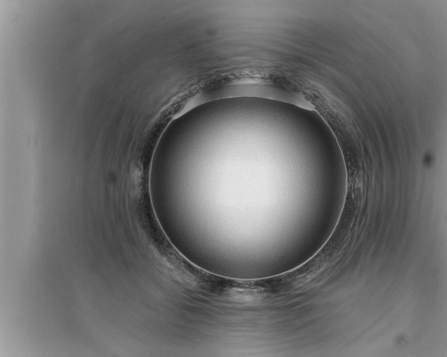 X0000095520556200712211305