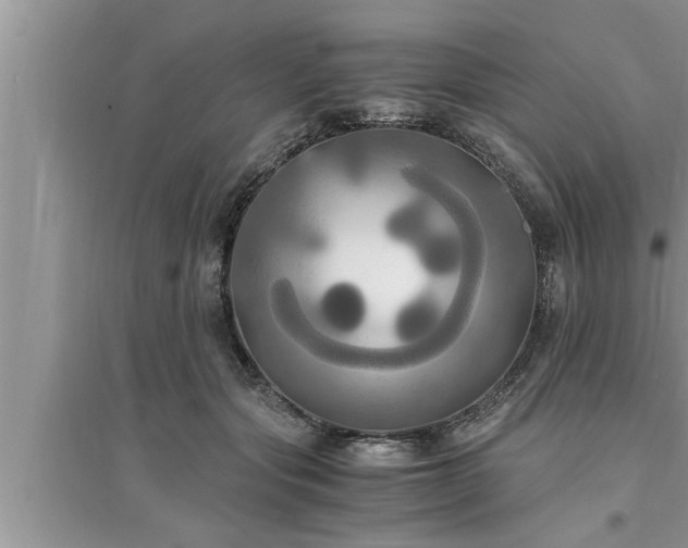 X0000095520557200712211305