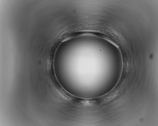 X0000095520558200712211305