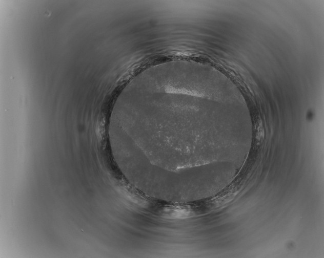 X0000095520559200712211305