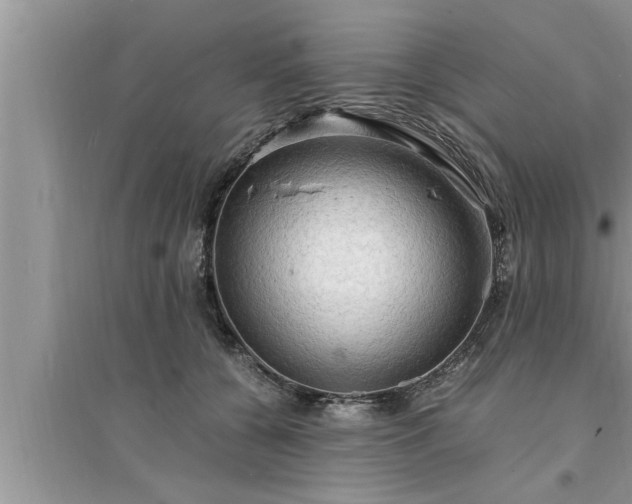 X0000095520560200712211305