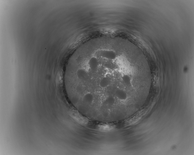 X0000095520561200712211305