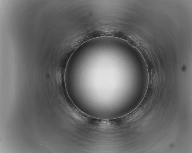 X0000095520562200712211305