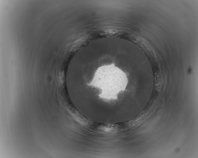 X0000095520563200712211305