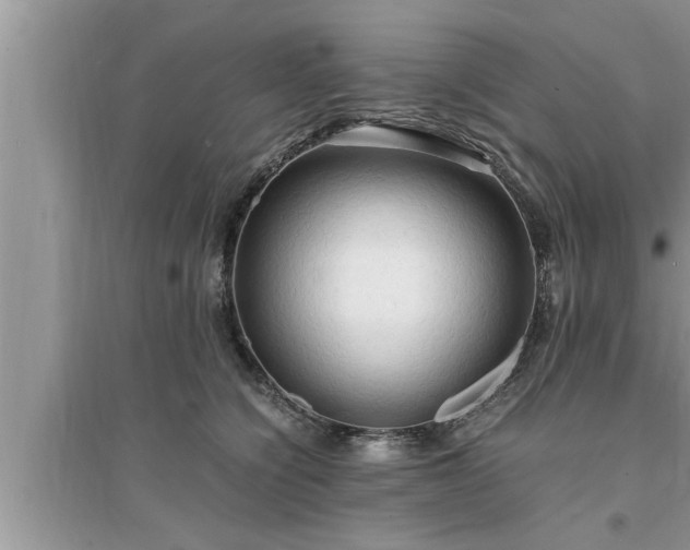 X0000095520564200712211305