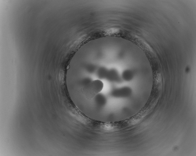 X0000095520565200712211305