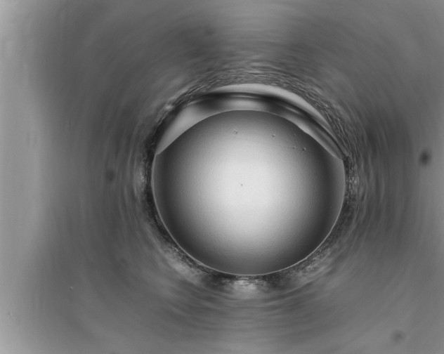 X0000095520566200712211305