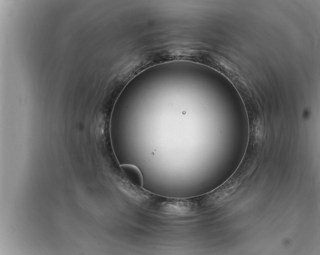 X0000095520567200712211305