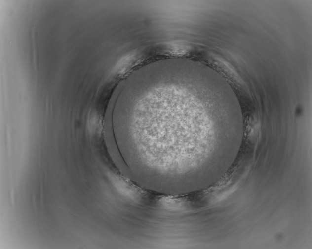 X0000095520568200712211305