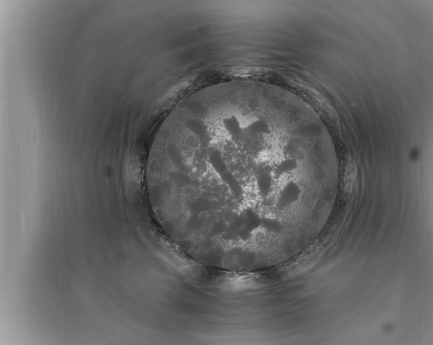 X0000095520569200712211305