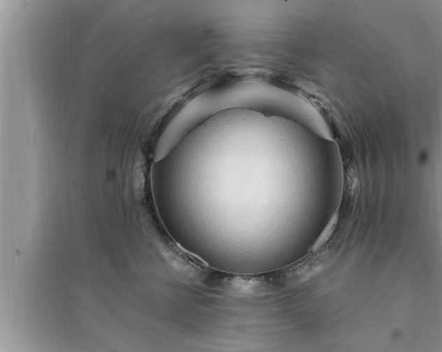 X0000095520570200712211305