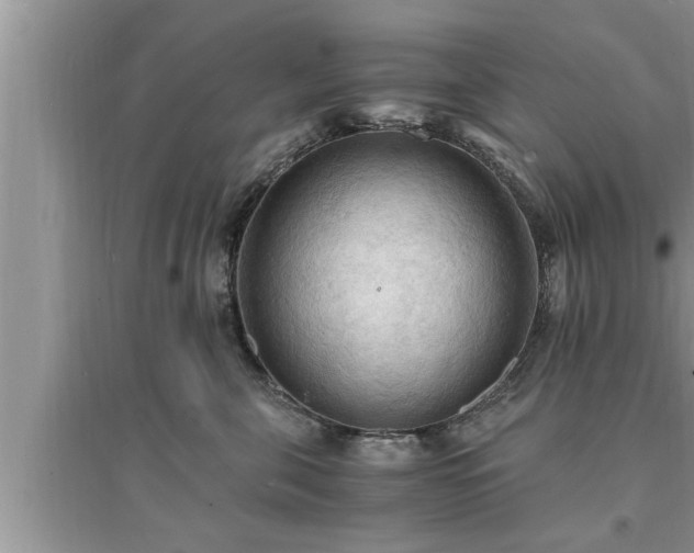 X0000095520571200712211305