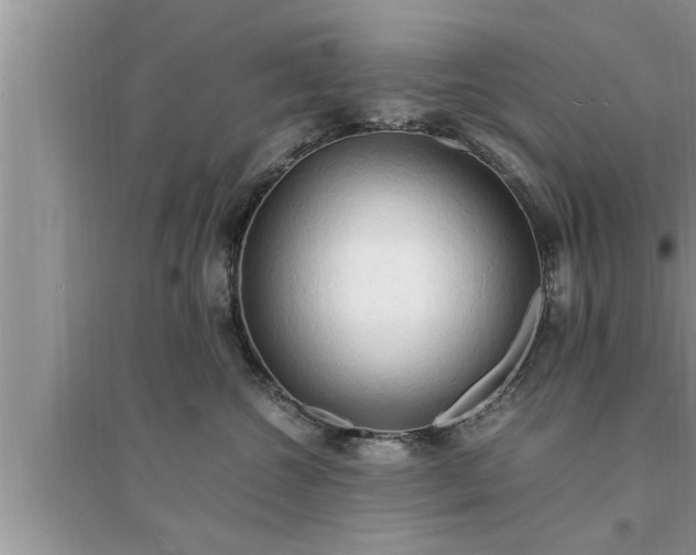 X0000095520572200712211305