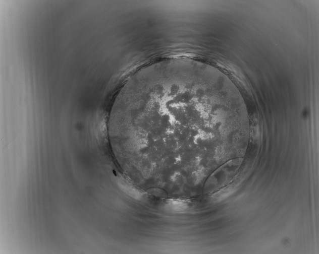 X0000095520573200712211305