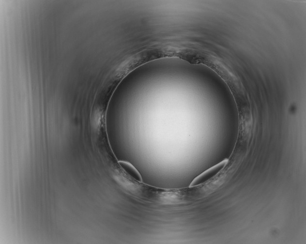 X0000095520574200712211305