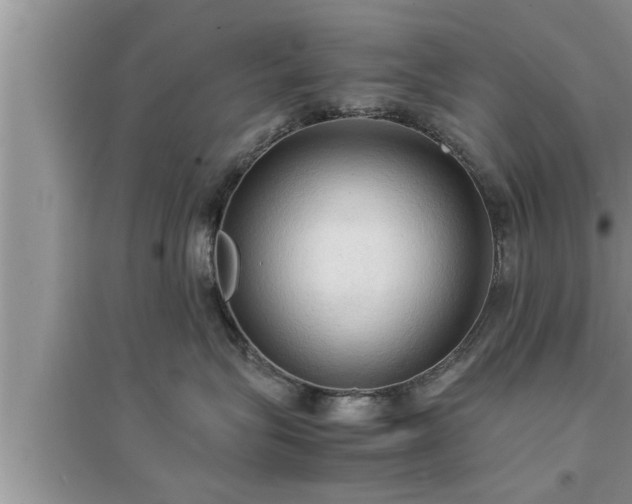 X0000095520575200712211305