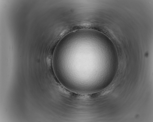 X0000095520576200712211305