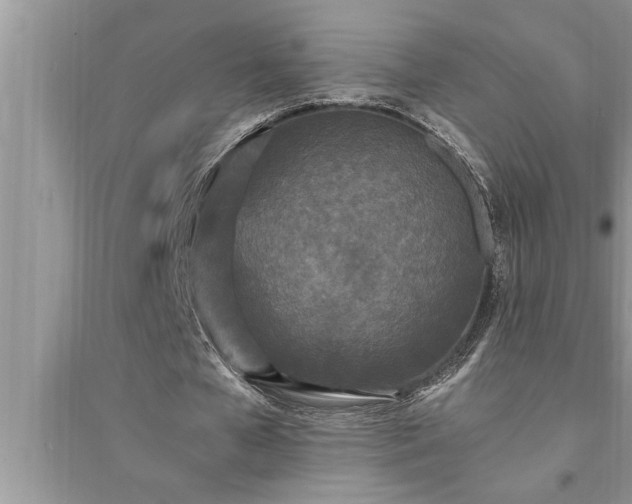 X0000095520577200712211305