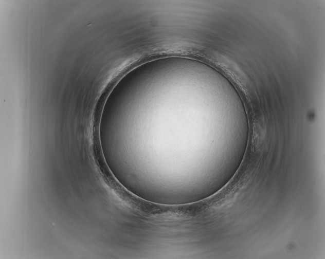 X0000095520578200712211305