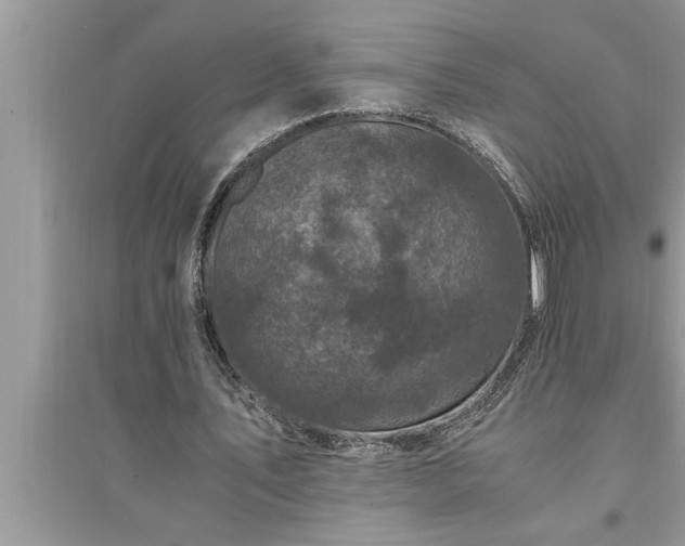 X0000095520579200712211305