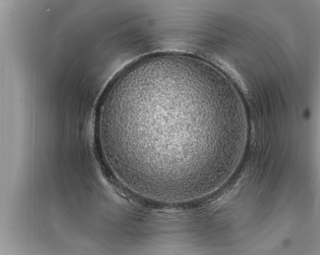 X0000095520580200712211305