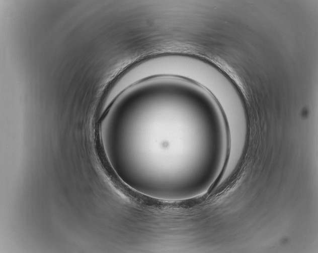 X0000095520581200712211305