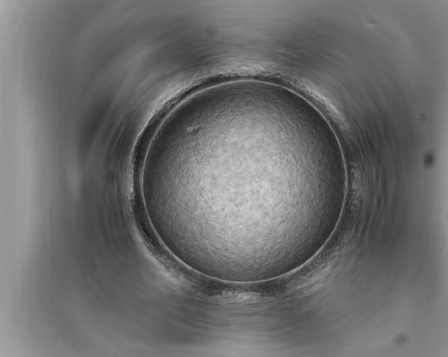 X0000095520582200712211305