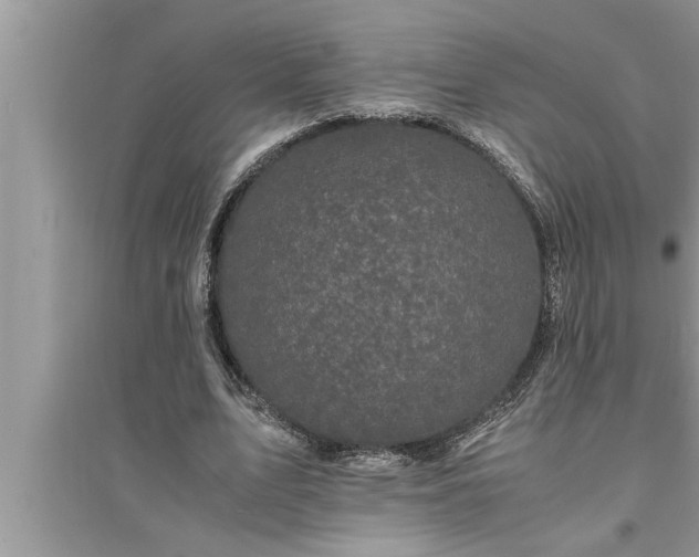 X0000095520583200712211305