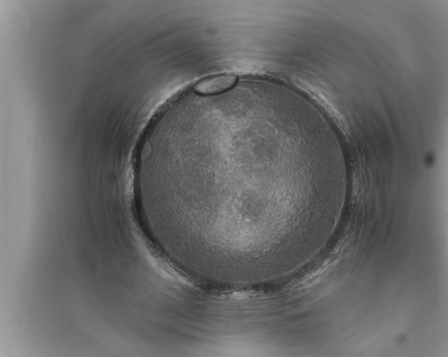 X0000095520584200712211305