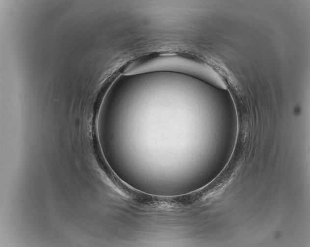 X0000095520585200712211305