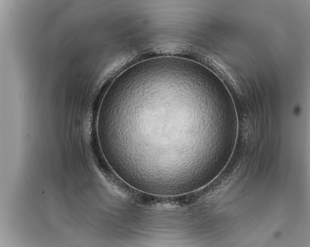 X0000095520586200712211305