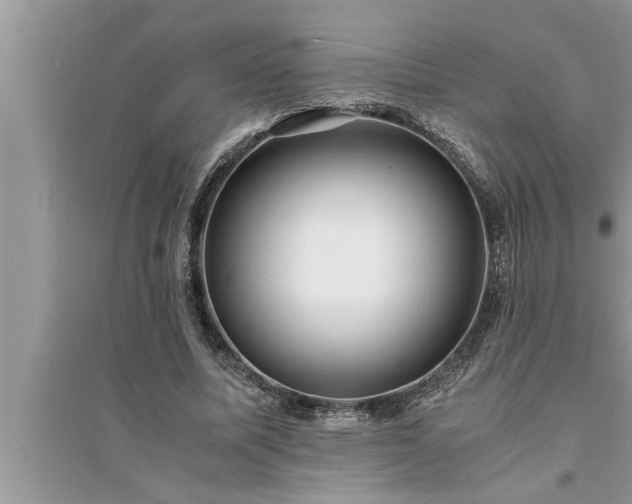 X0000095520587200712211305