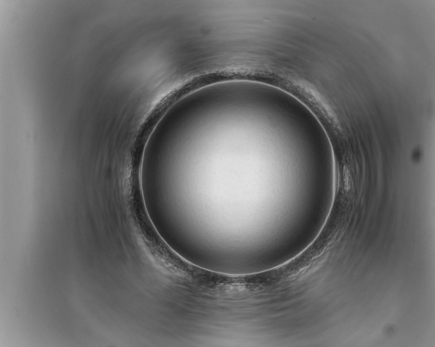 X0000095520588200712211304