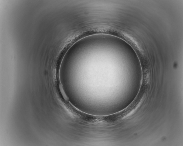 X0000095520589200712211304