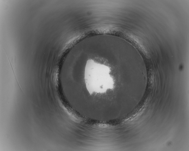 X0000095520590200712211304