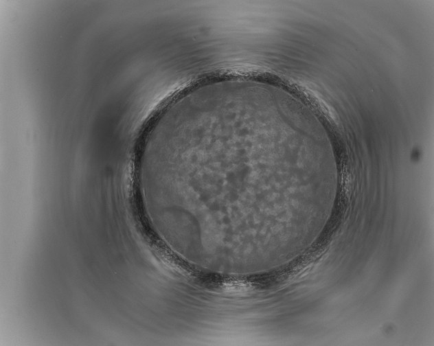 X0000095520591200712211304