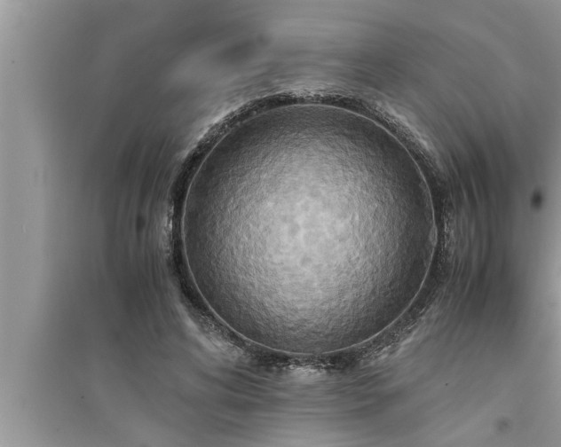 X0000095520592200712211304