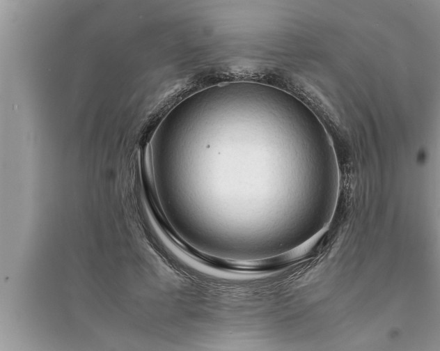 X0000095520593200712211304