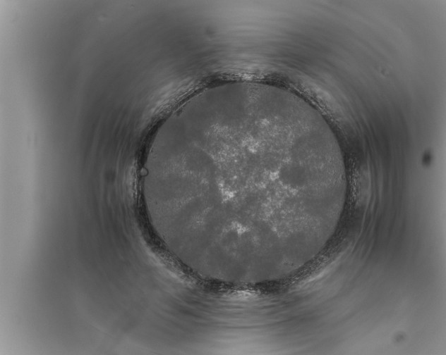 X0000095520594200712211304