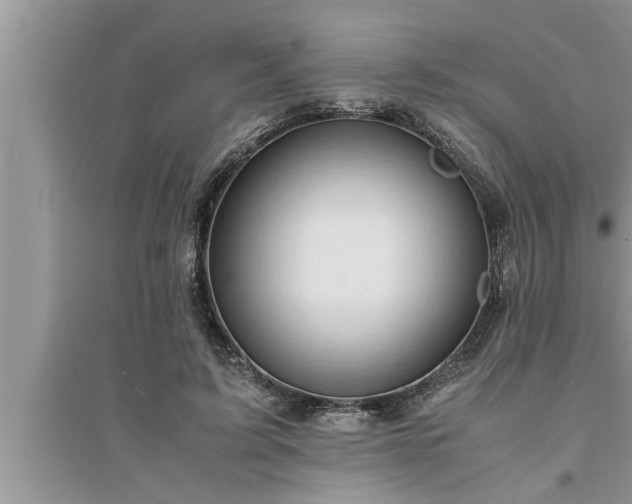 X0000095520595200712211304