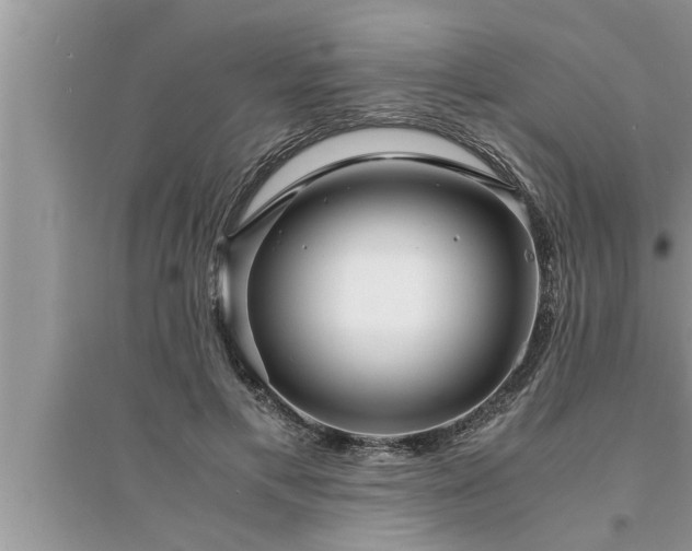 X0000095520597200712211304