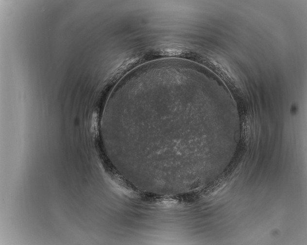 X0000095520598200712211304