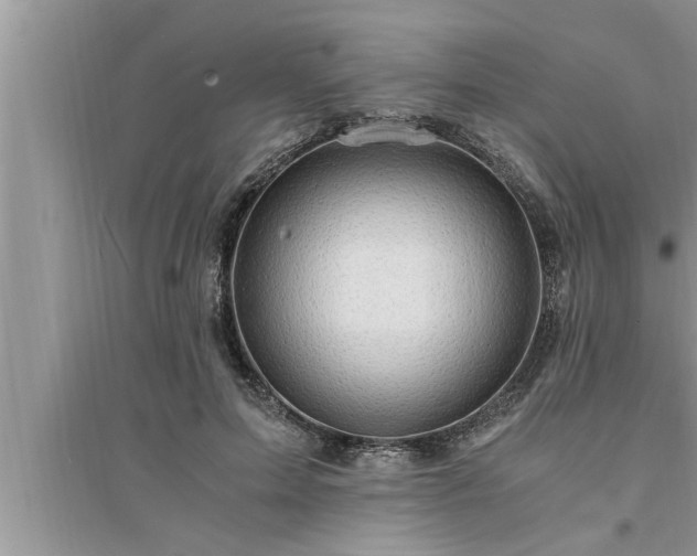 X0000095520599200712211304