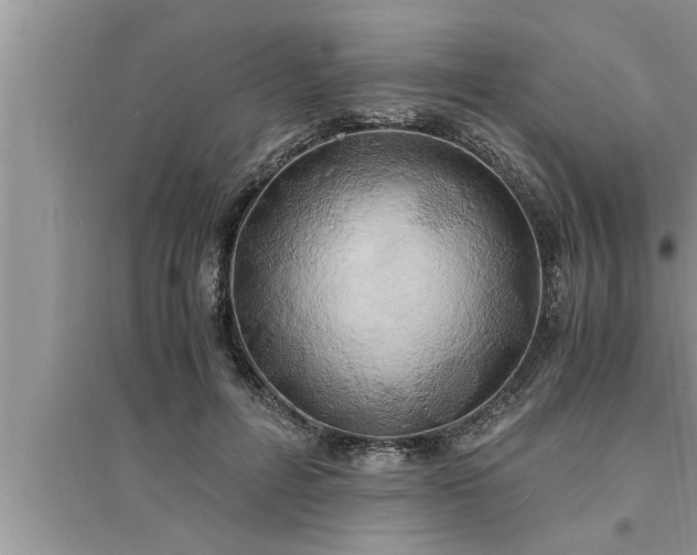 X0000095520600200712211304