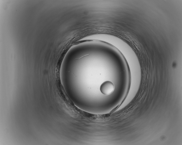 X0000095520601200712211304